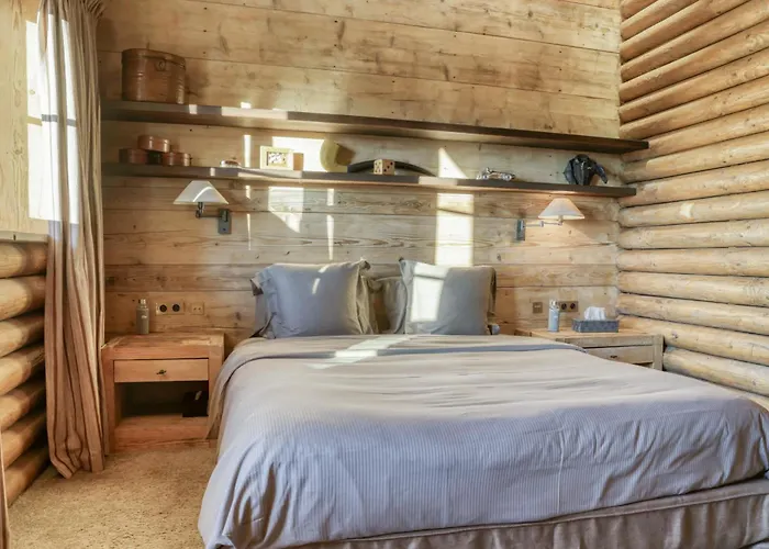 Sapin Alpehytte Megève